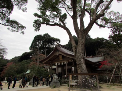 宝満宮竈門神社